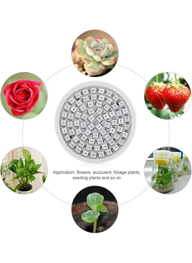 مصباح زراعة مائية E27 36 وات تيار متردد 220 فولت كامل الطيف من ار بي اس دي 72 ليد SMD2835 للاستخدام الداخلي صوالزراعية 36.0 واط ر - Image 5